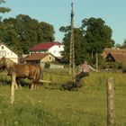 Landarbeit in den Masuren