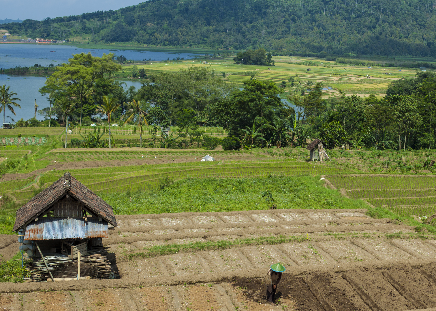 Landarbeit in Indonesien
