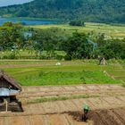 Landarbeit in Indonesien