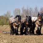 Landarbeit, wie dazumal