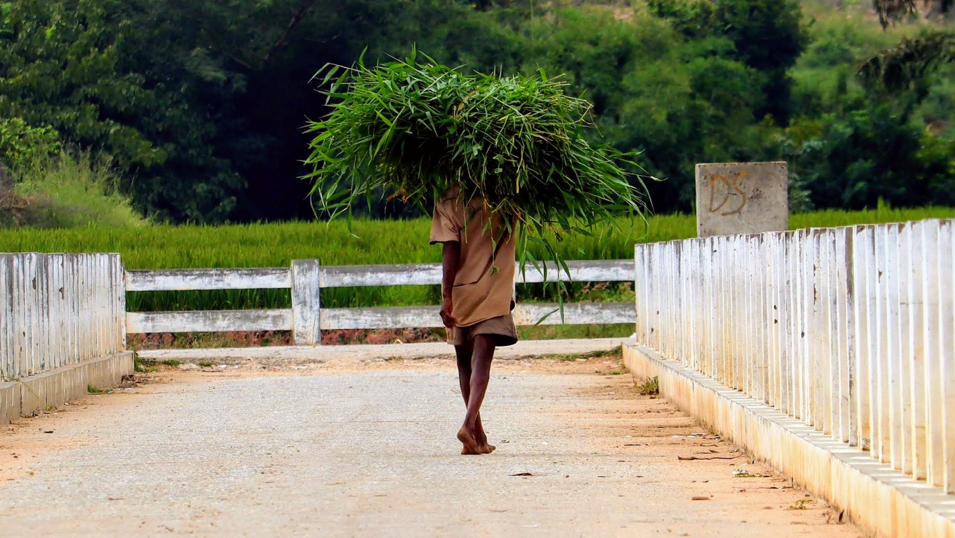 Landarbeiter in Indien