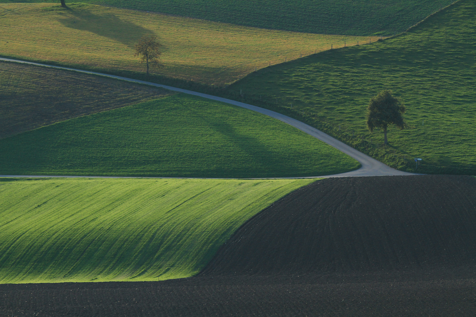 Landart im Abend-Streiflicht