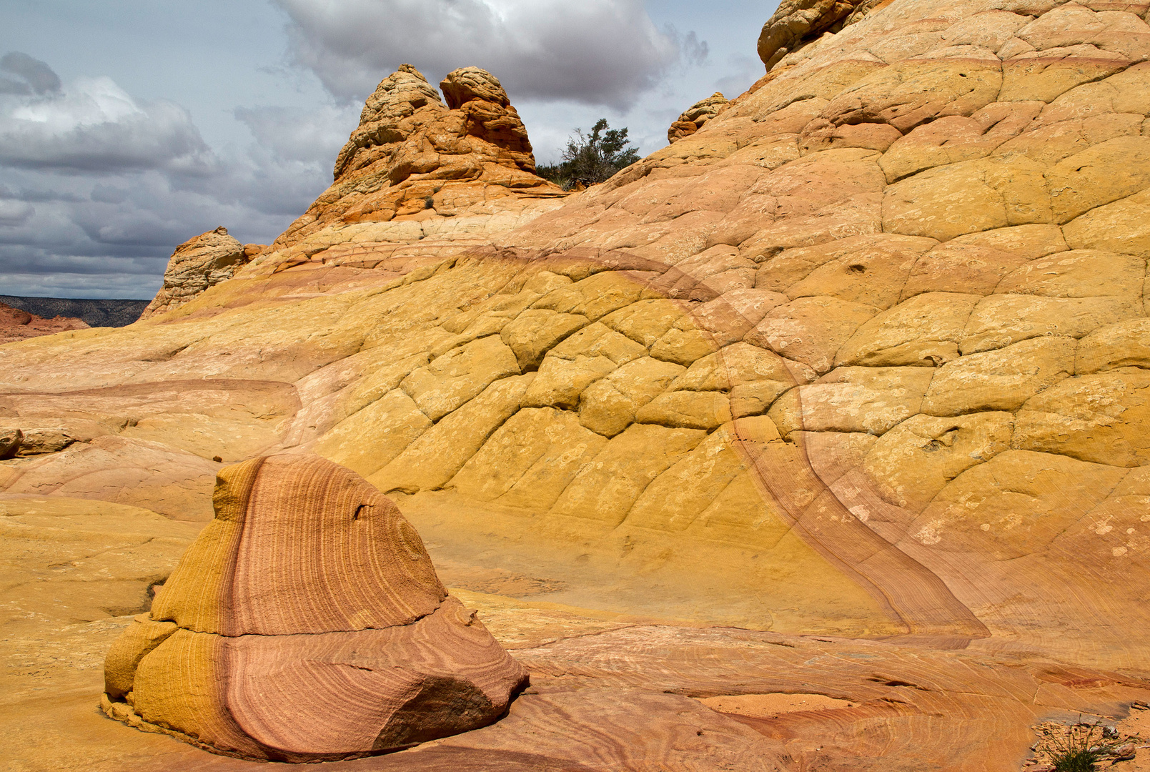 Landart/Enviromental Art - Die Farbenpracht in den Buttes