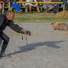 Lande Anflug bei den Ritterspielen