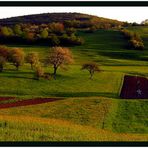 Lande d'Istria