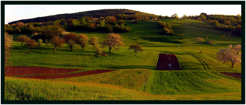 Lande d'Istria