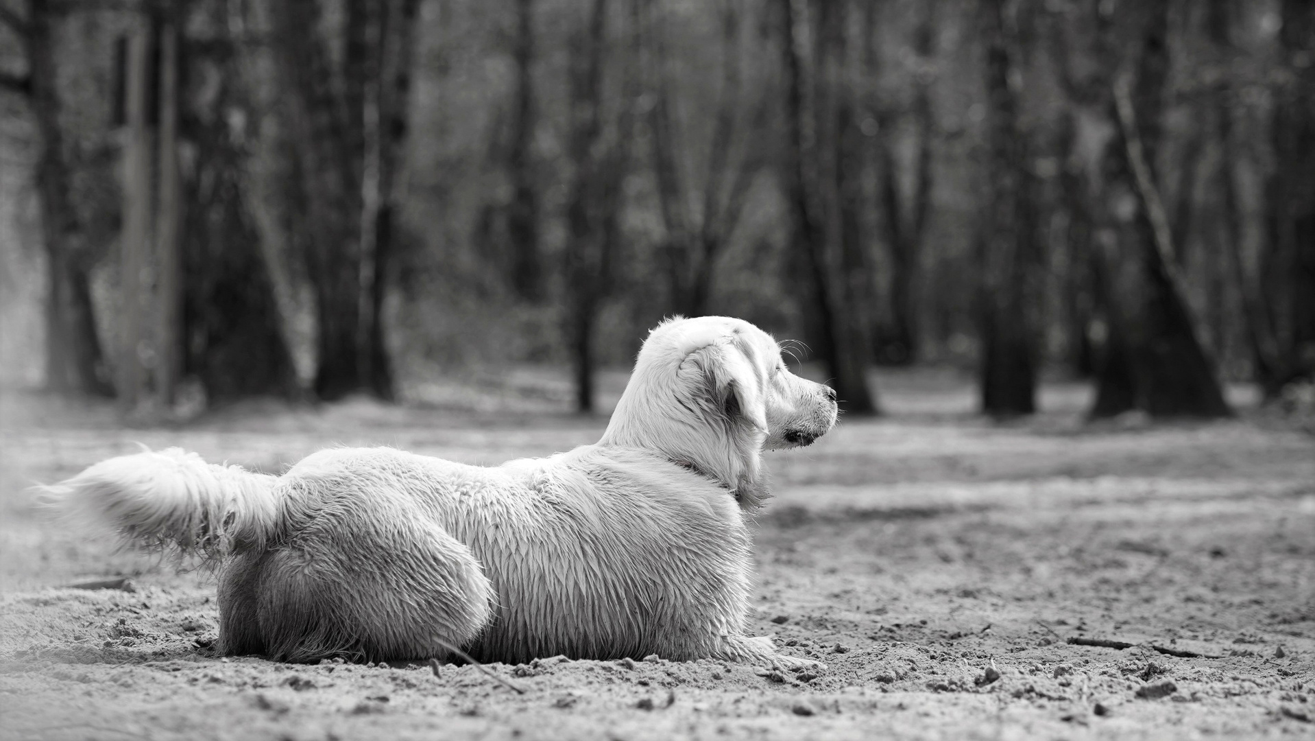 Lande- und Startposition