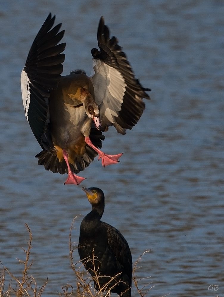 Landeanflug...