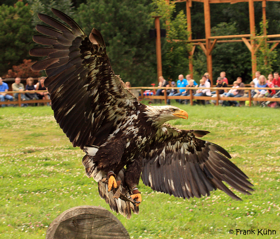 Landeanflug