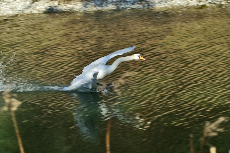 Landeanflug