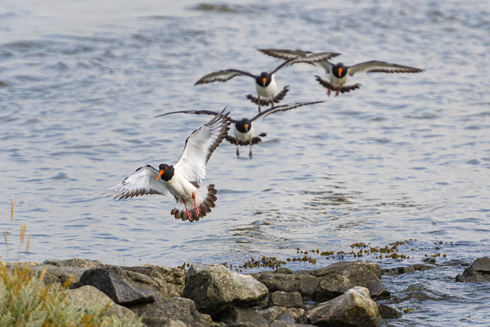 Landeanflug