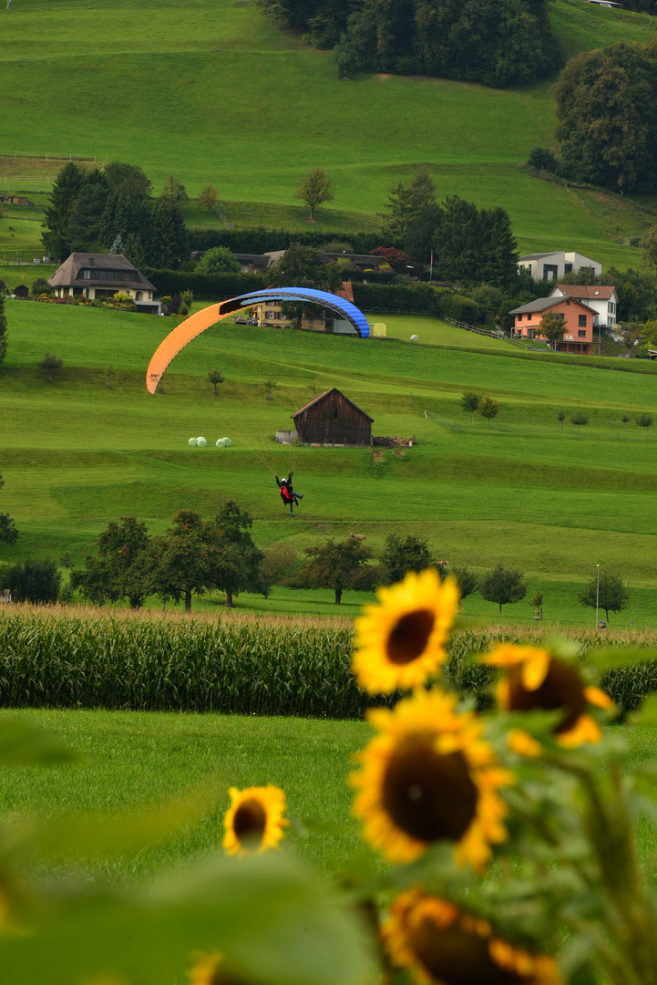 Landeanflug