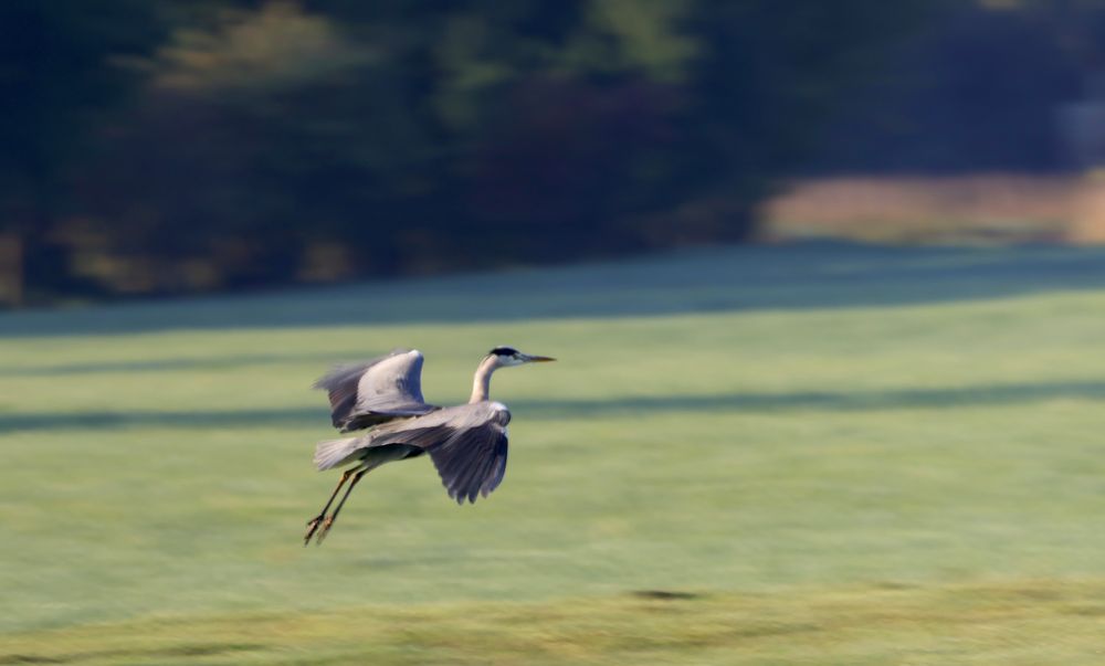 Landeanflug 