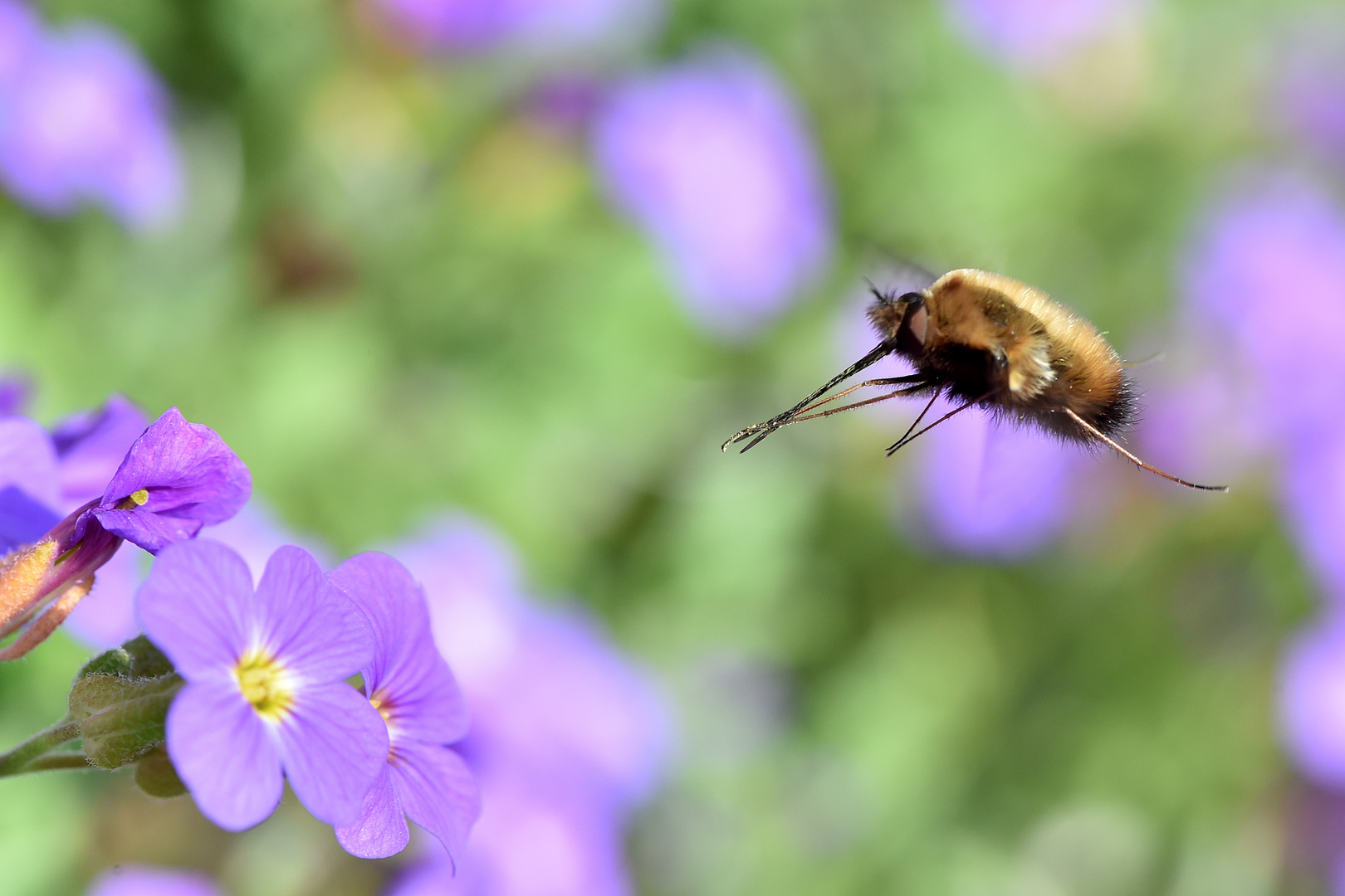 Landeanflug