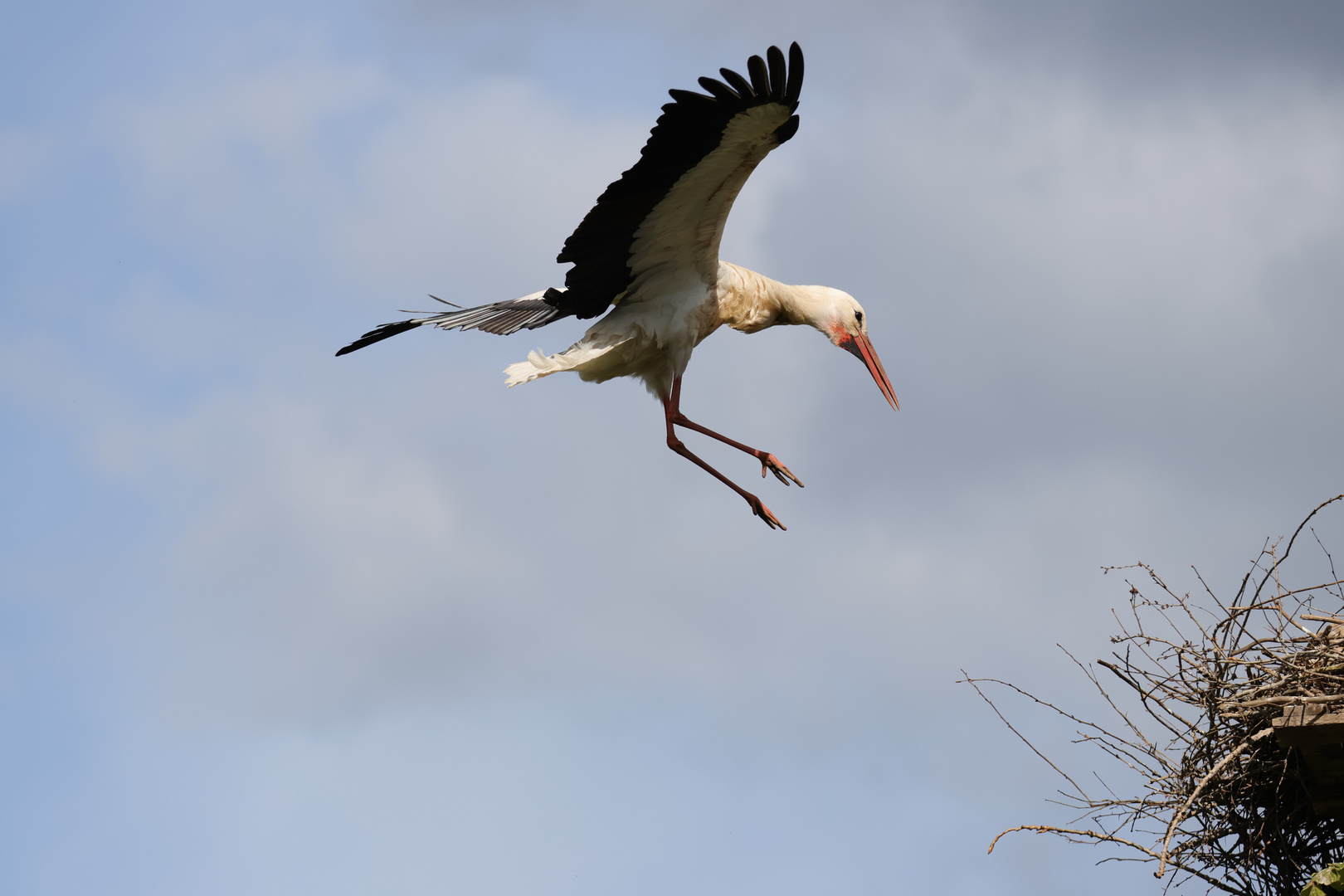 Landeanflug