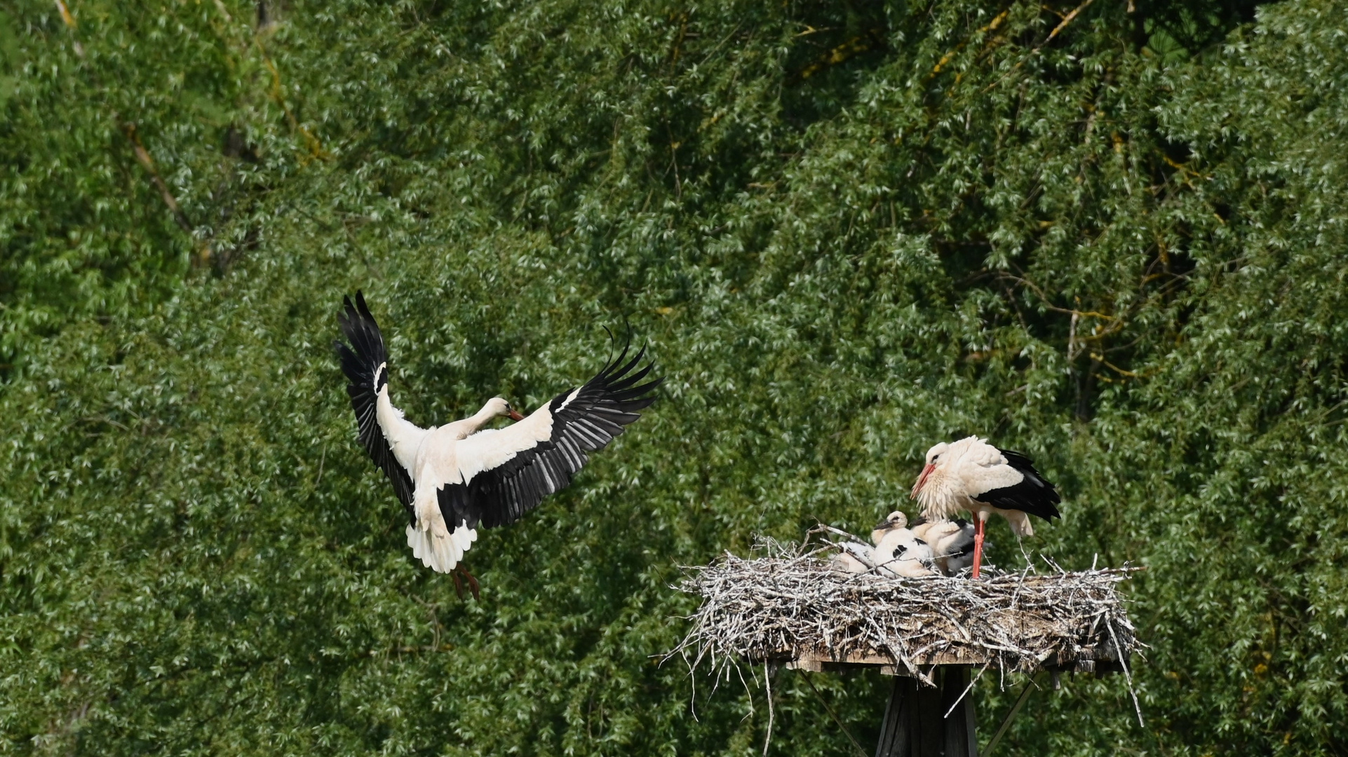 Landeanflug . . .