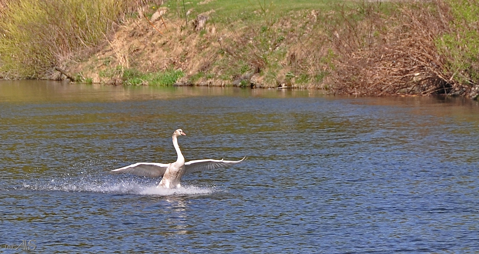 Landeanflug