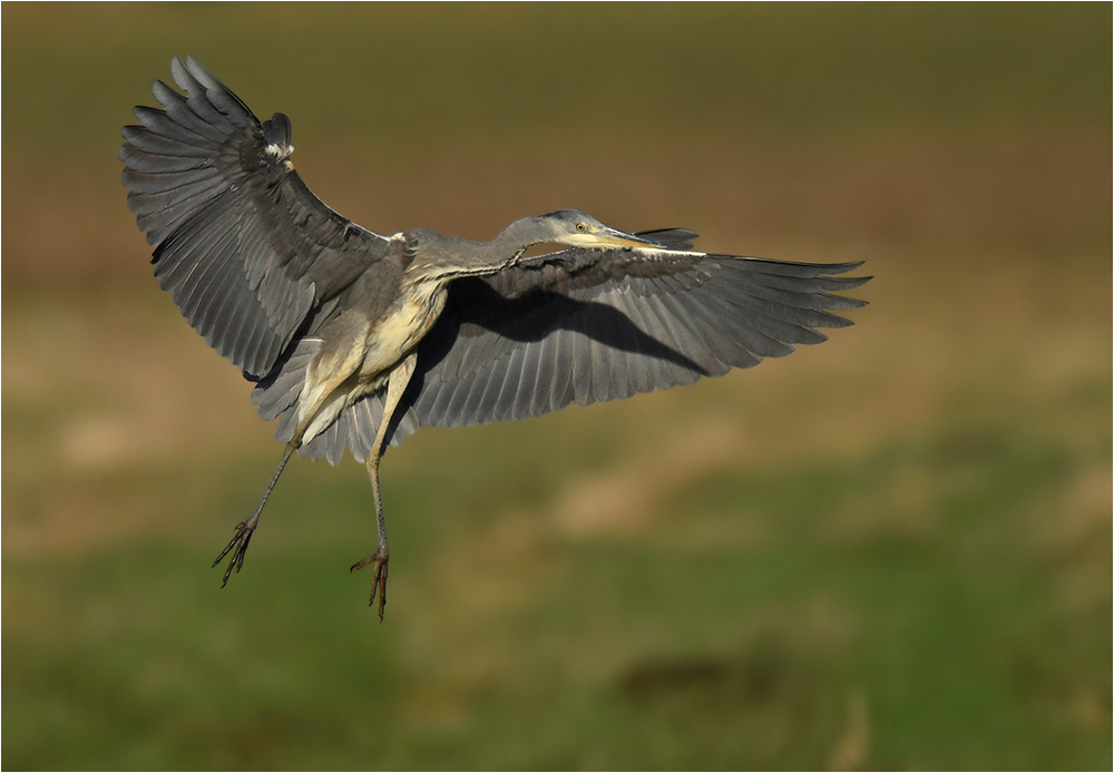 Landeanflug