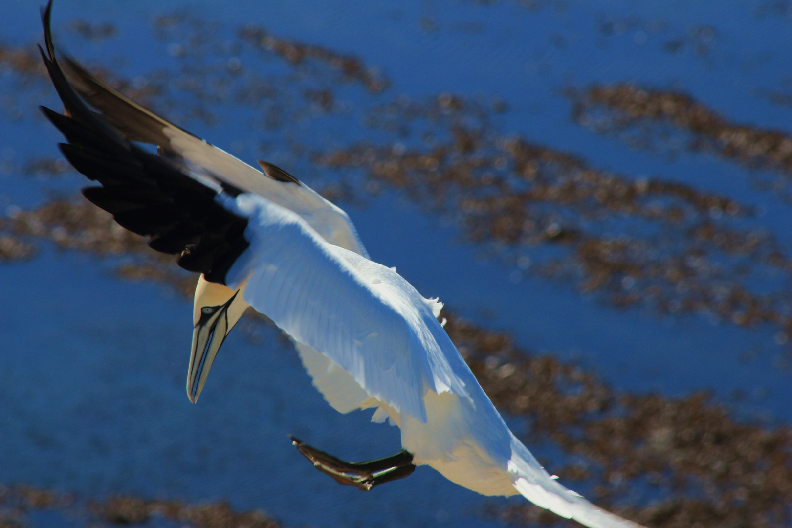 Landeanflug