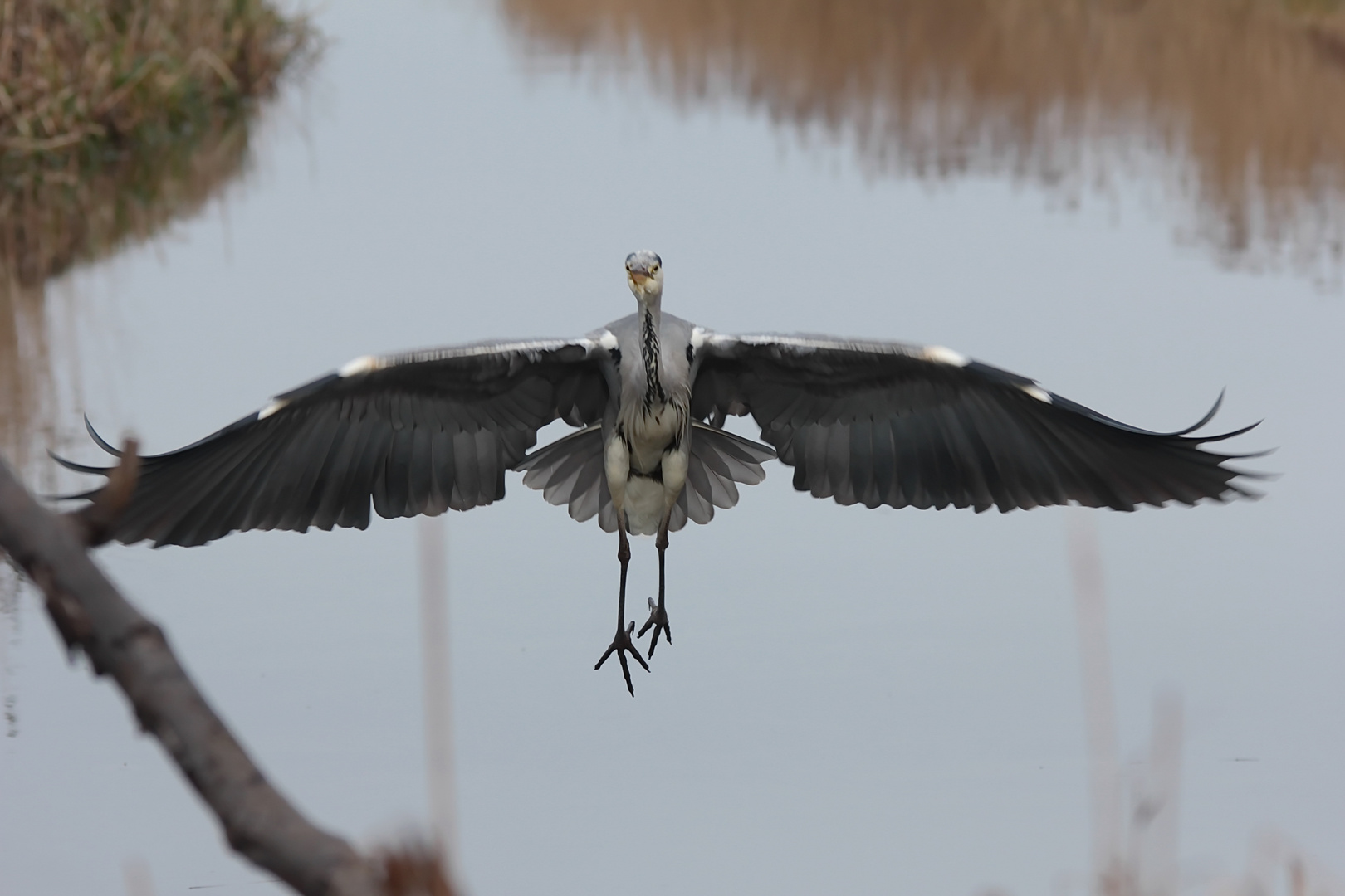 Landeanflug