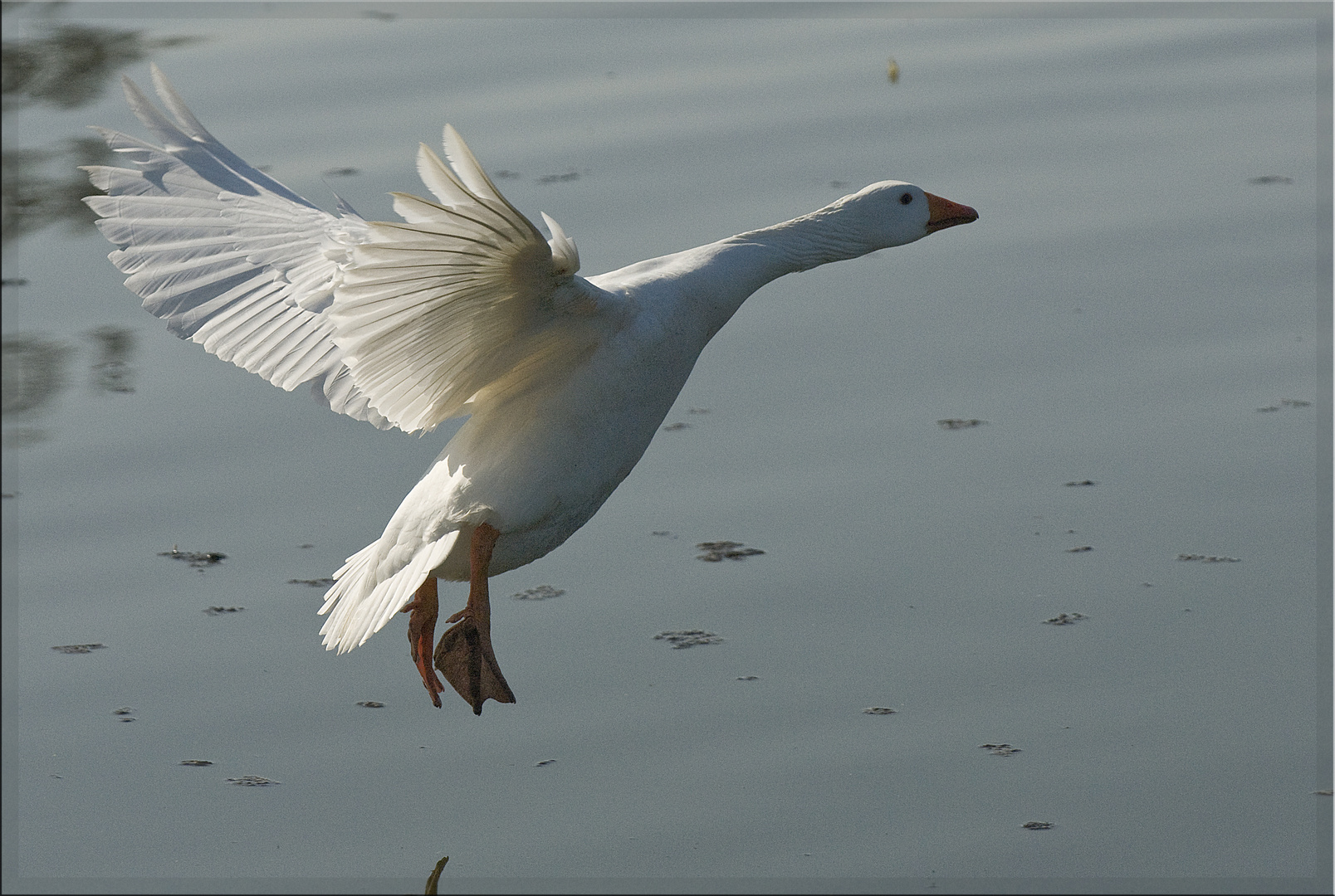 Landeanflug