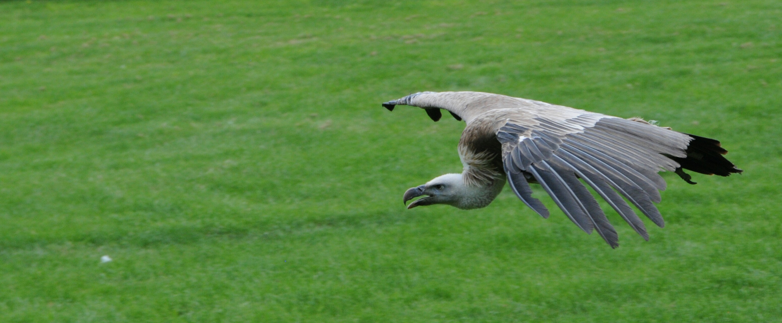 Landeanflug