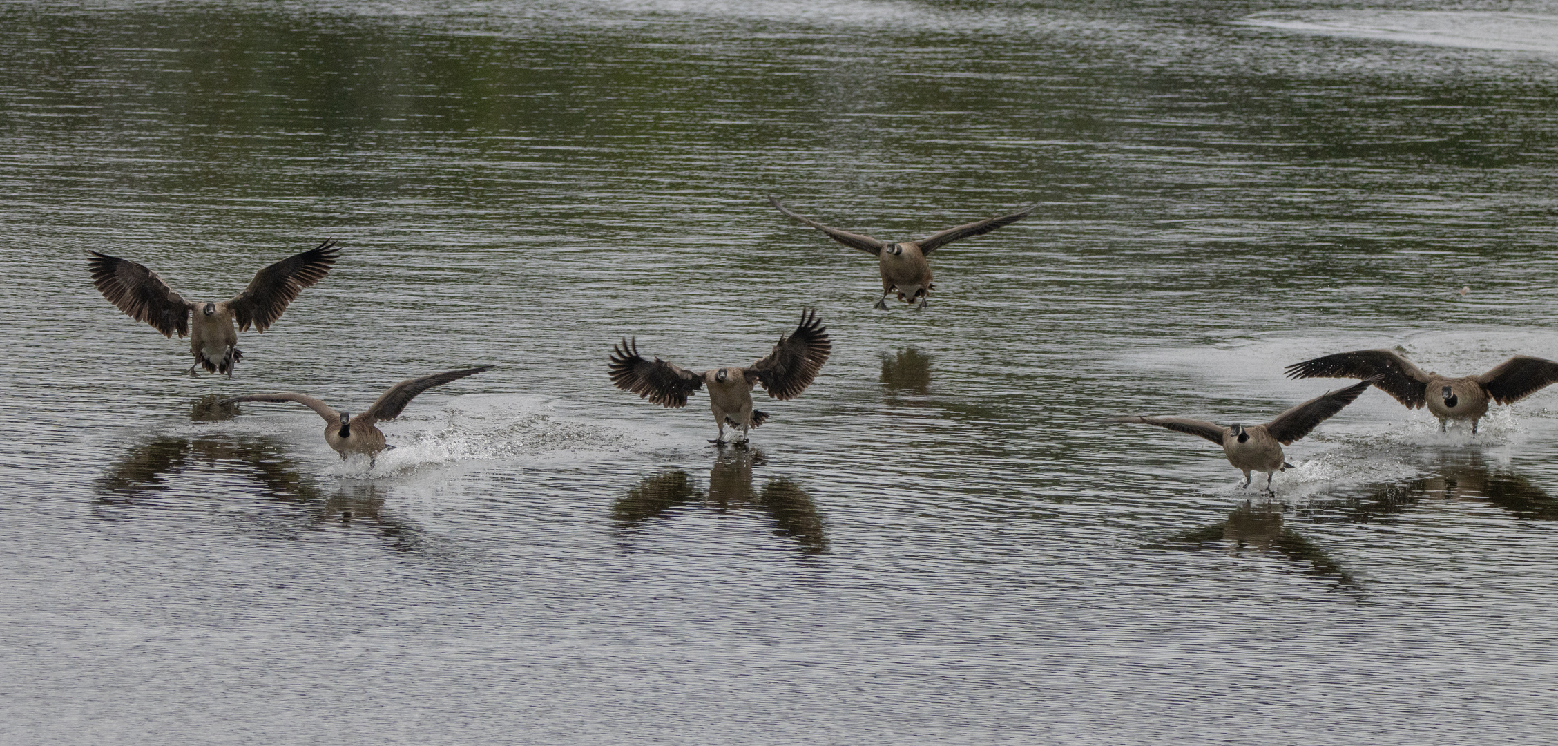 Landeanflug