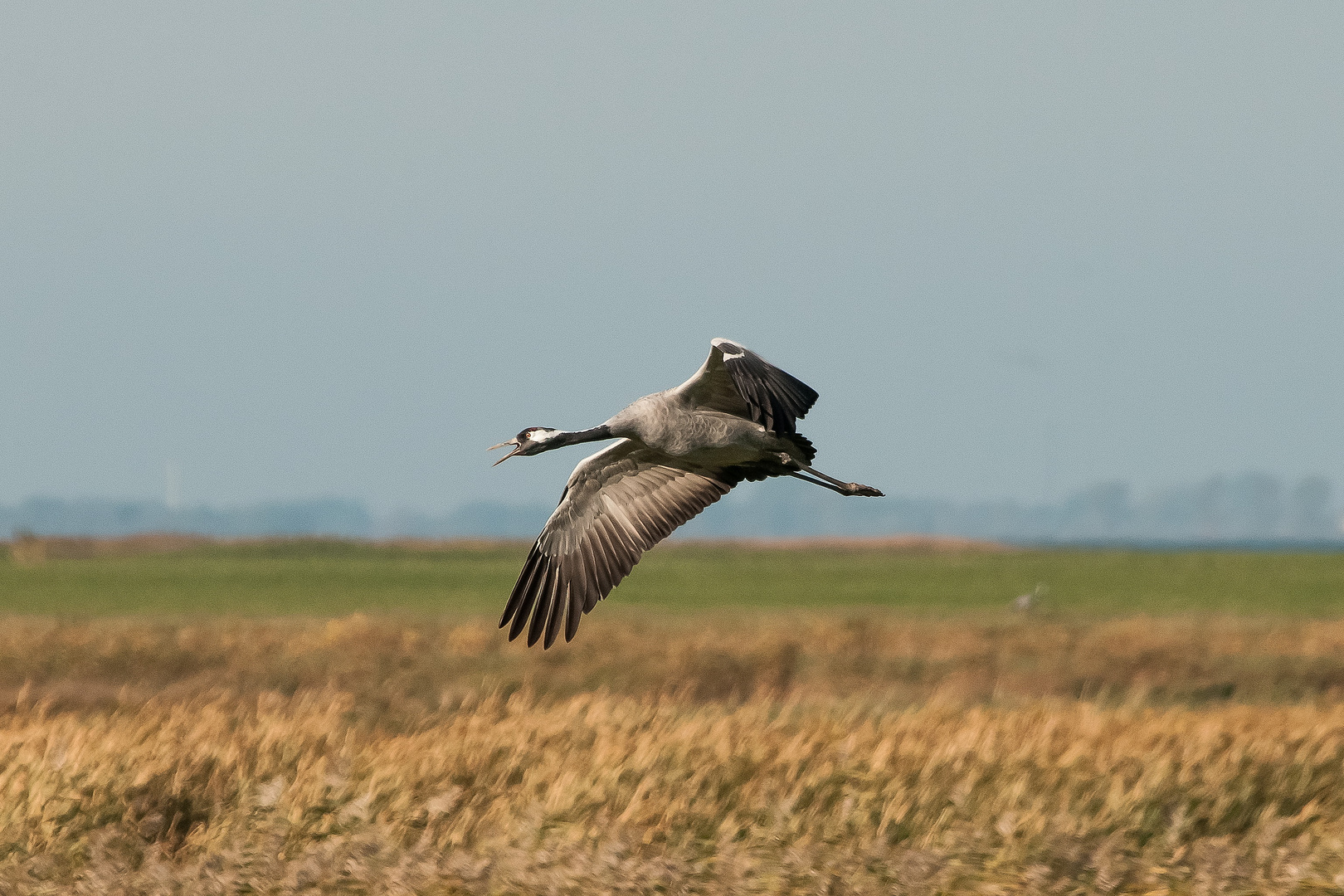 Landeanflug