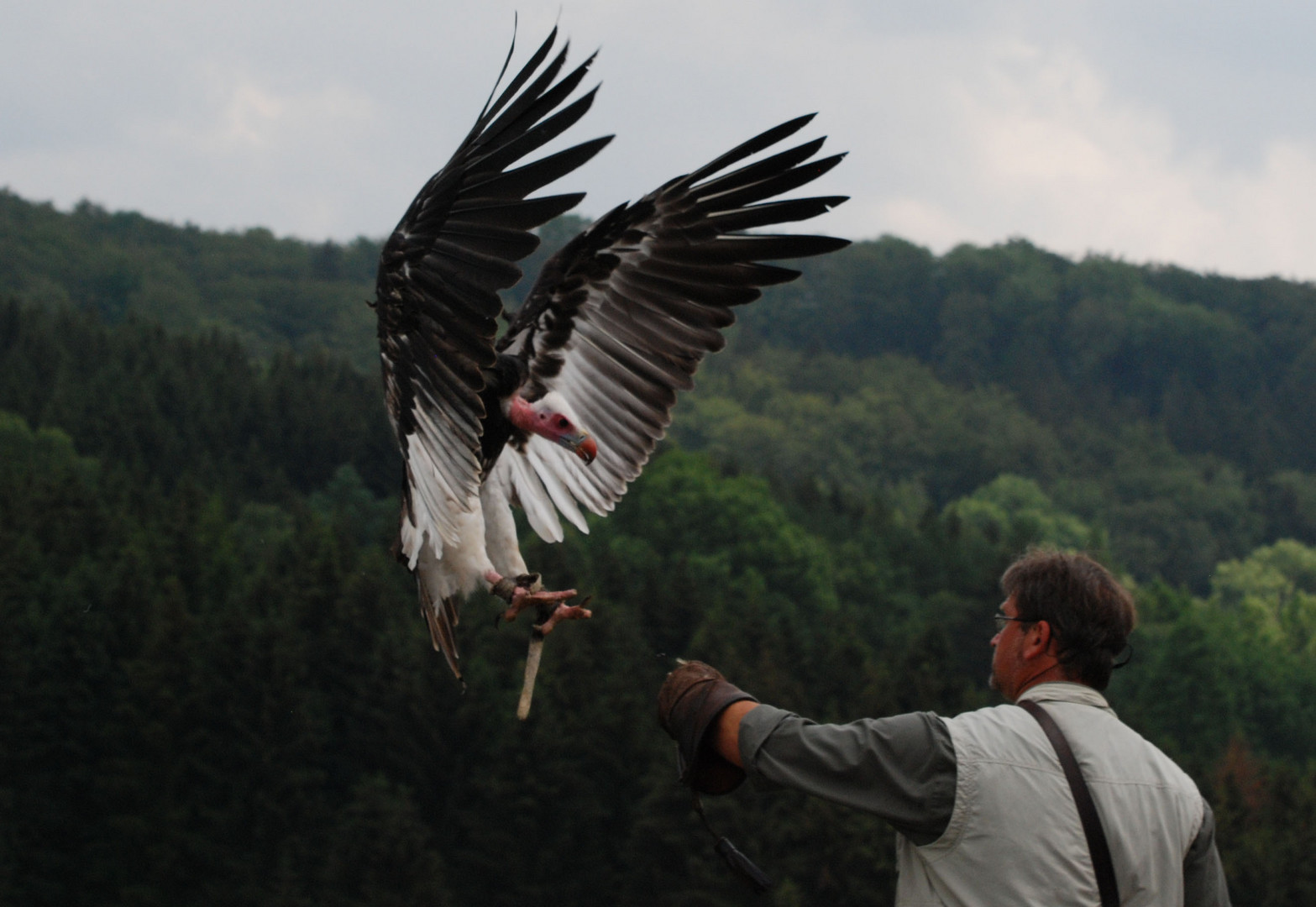 Landeanflug