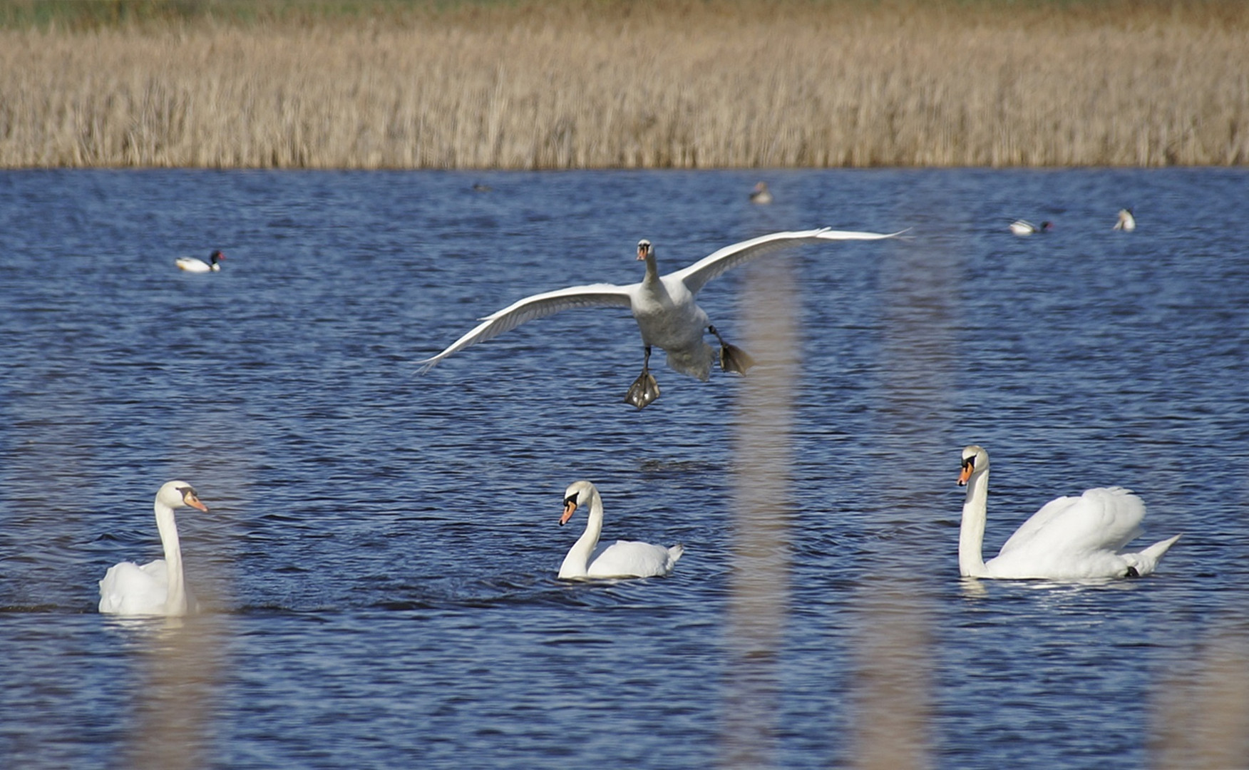 Landeanflug 2