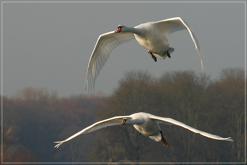 Landeanflug