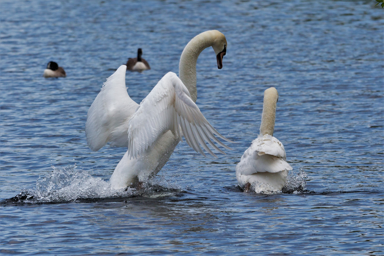 Landeanflug