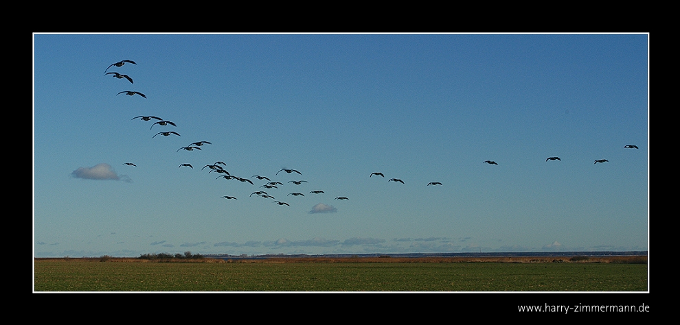 Landeanflug