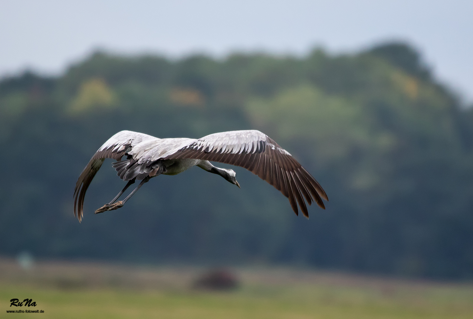 Landeanflug