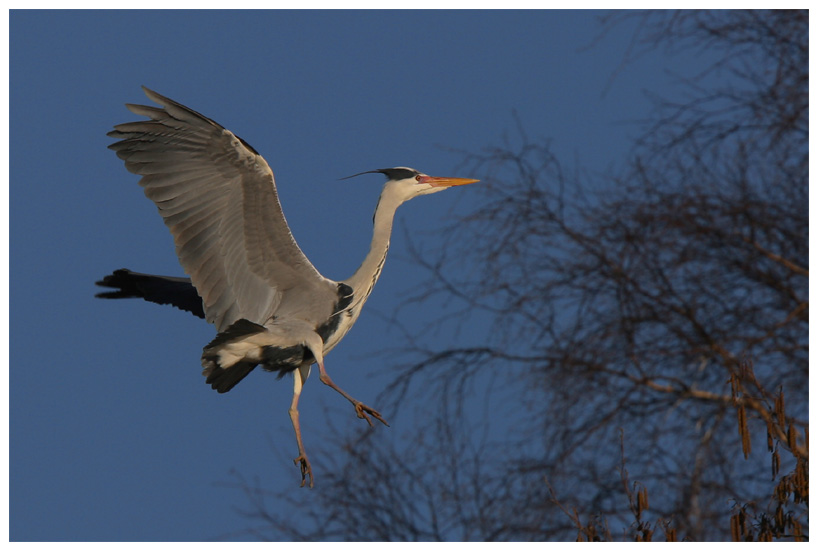 Landeanflug ?