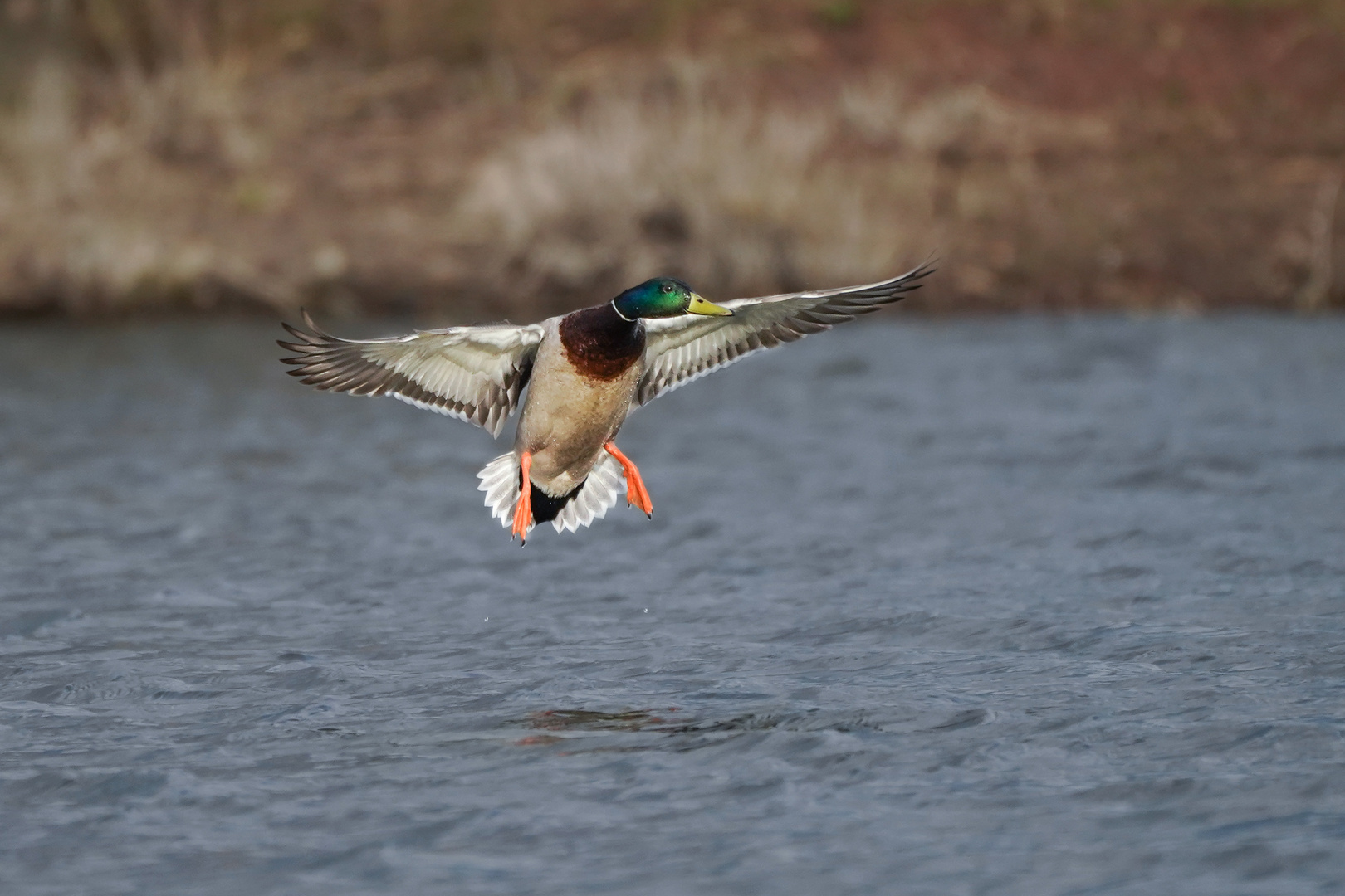 Landeanflug