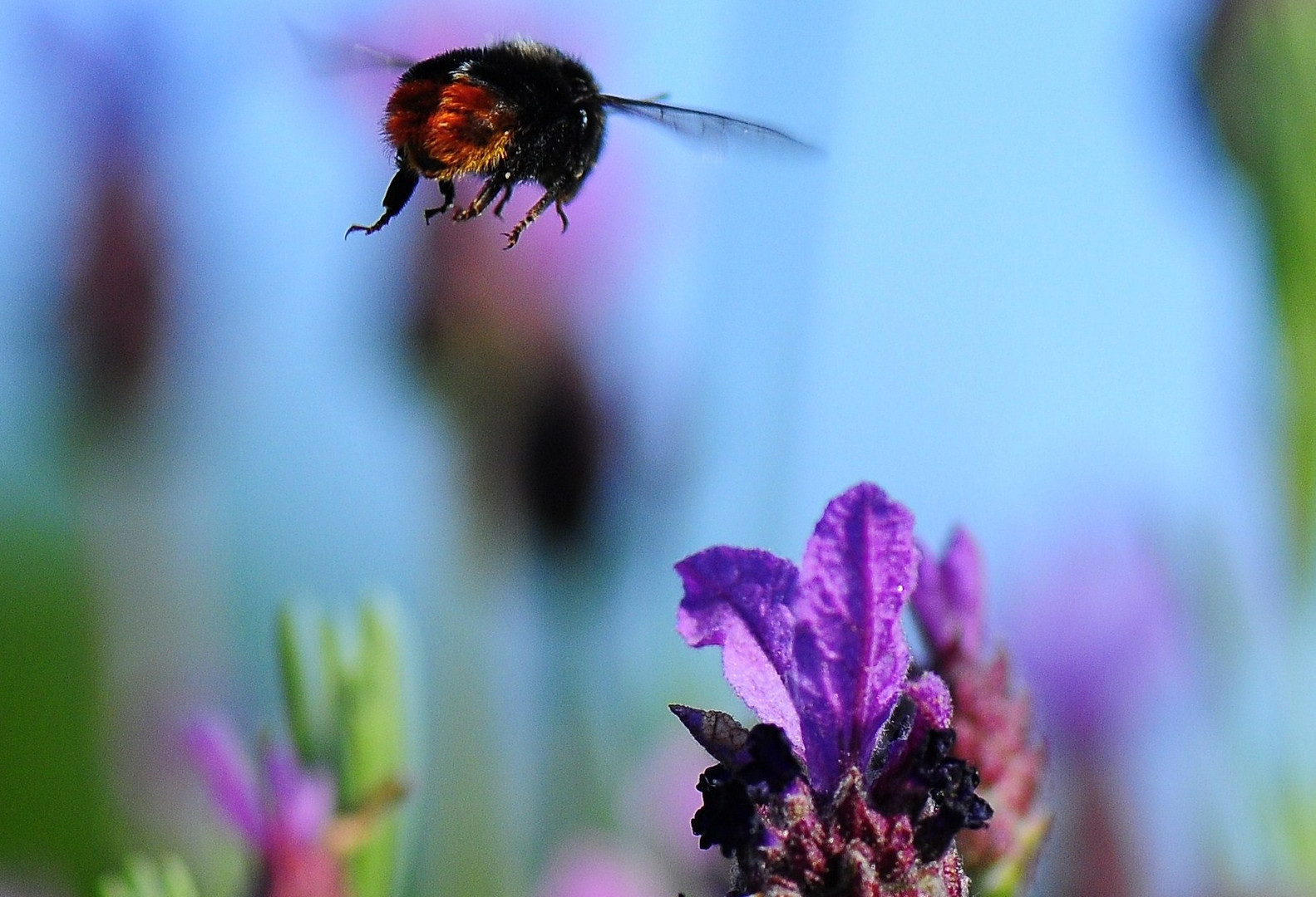 Landeanflug