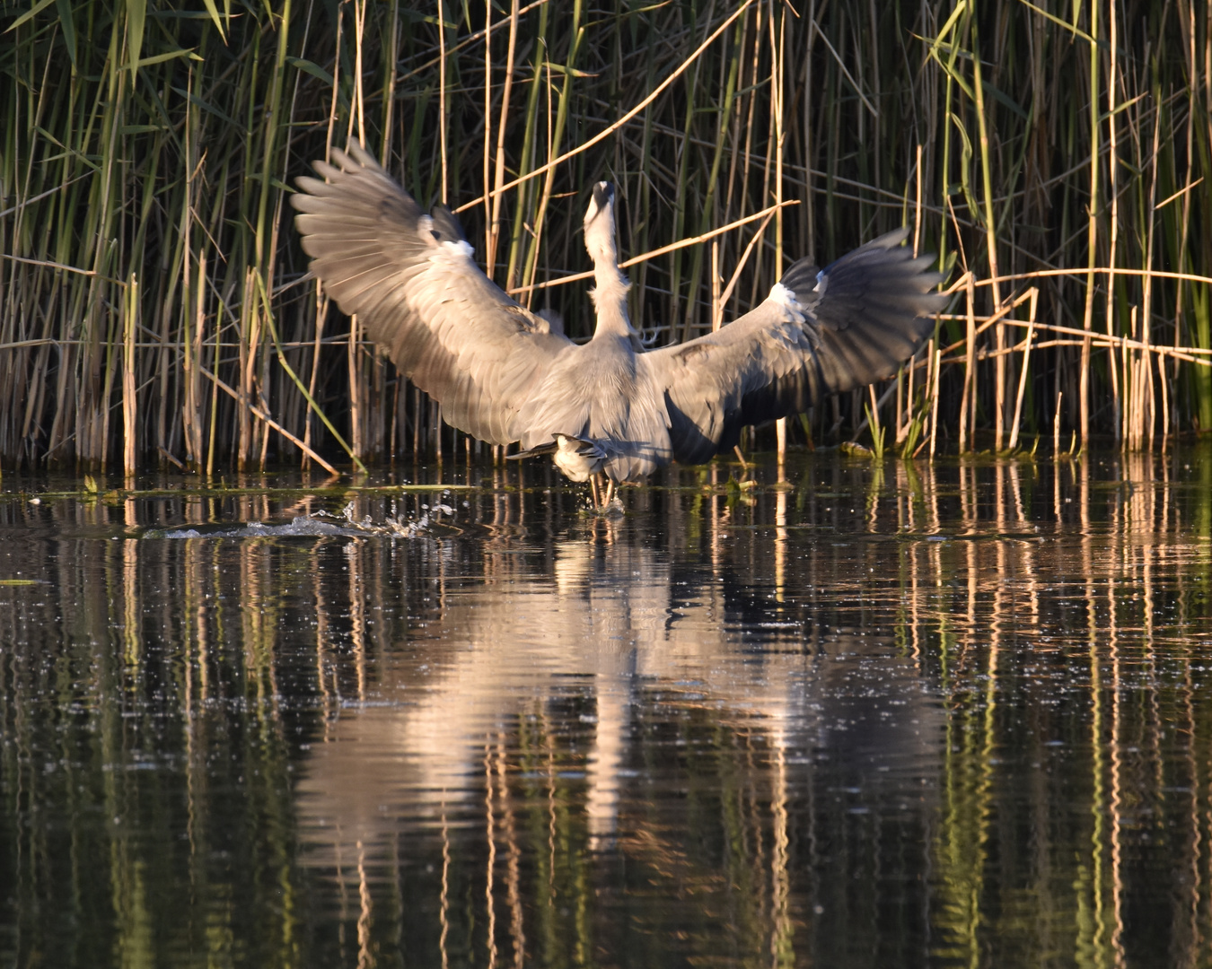 Landeanflug