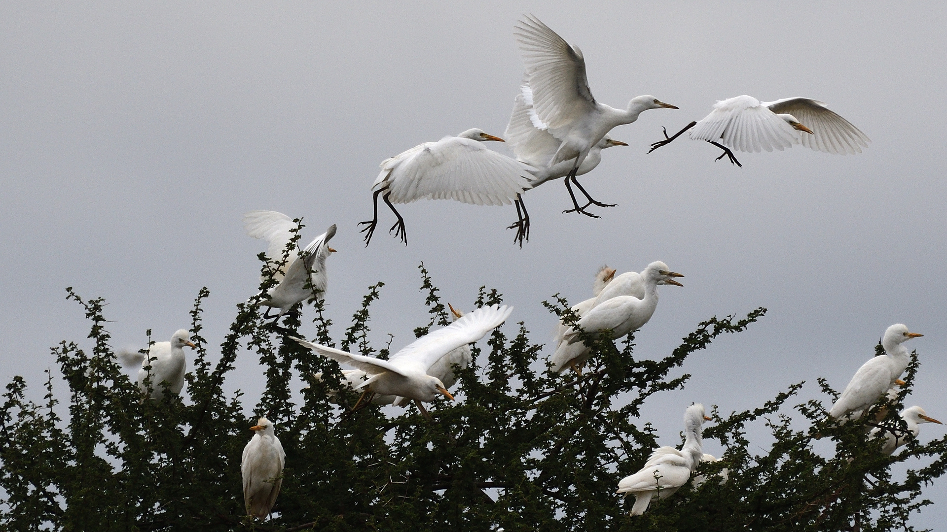 Landeanflug