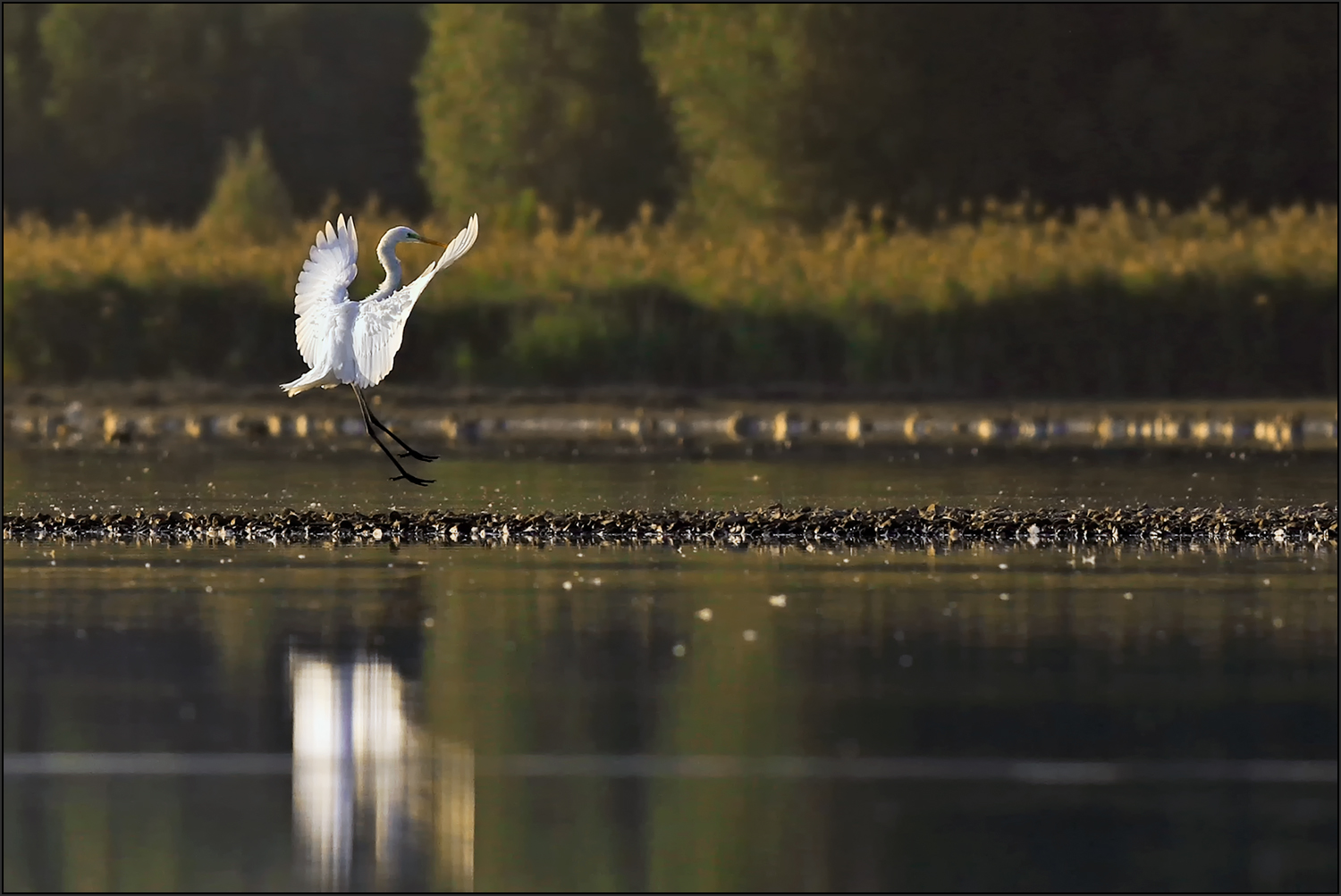 Landeanflug