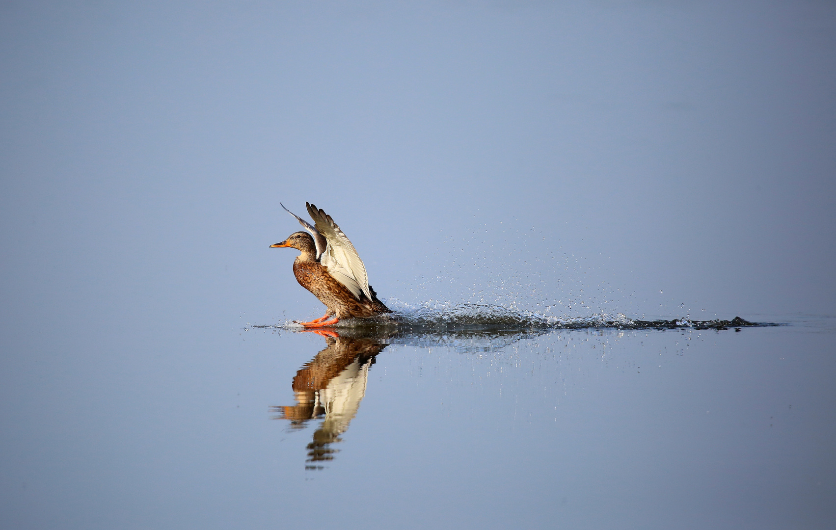 Landeanflug