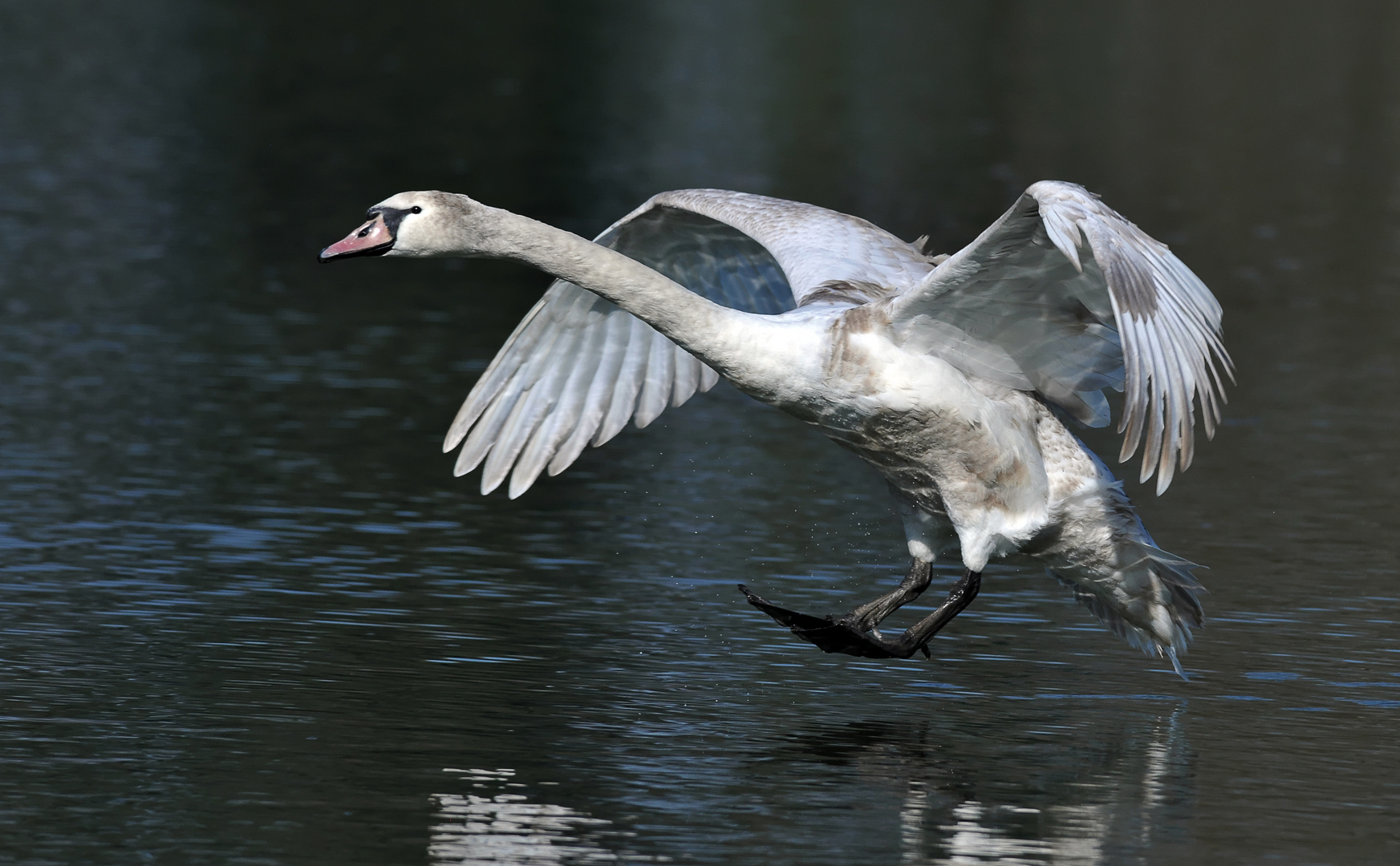 Landeanflug