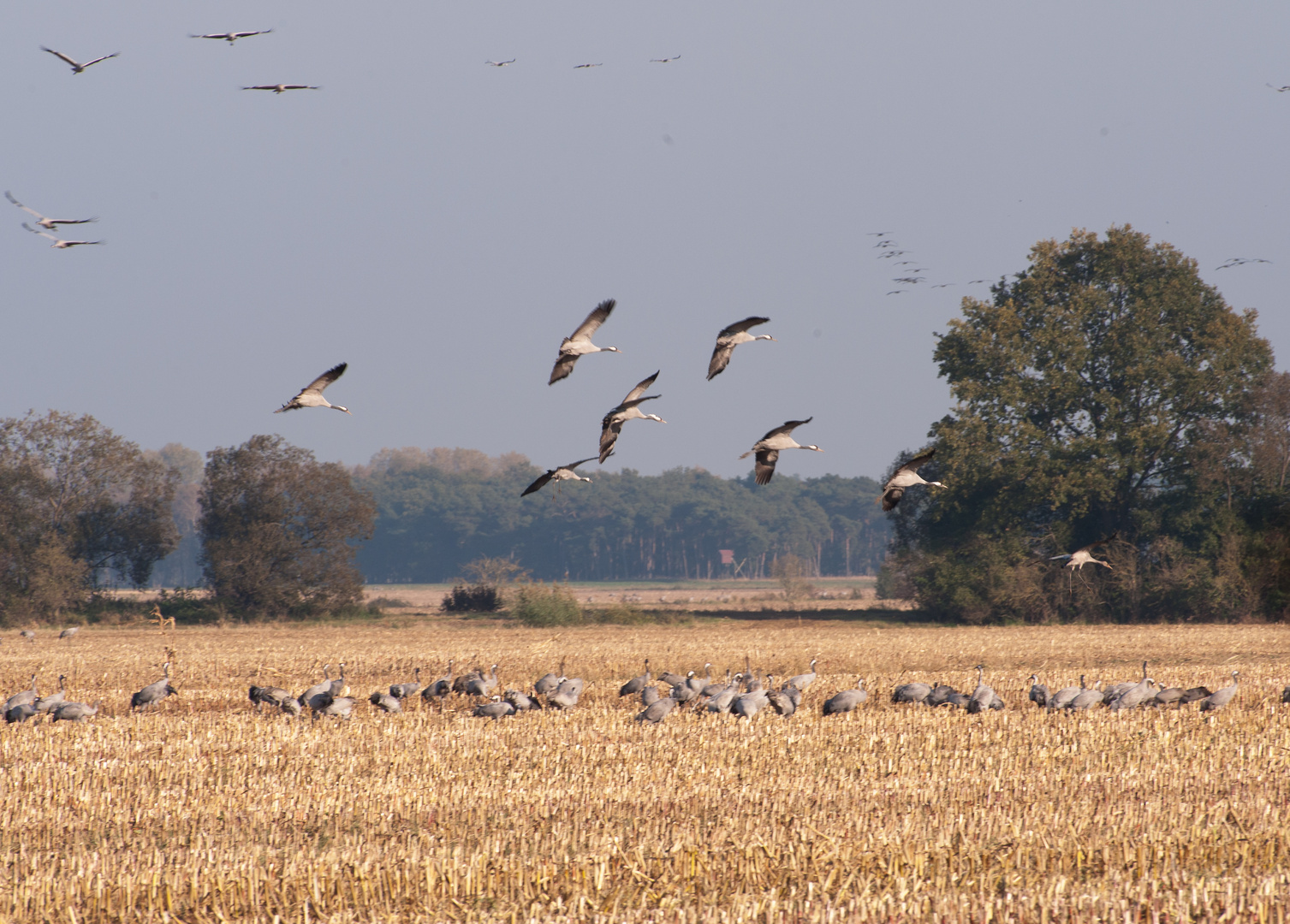 Landeanflug