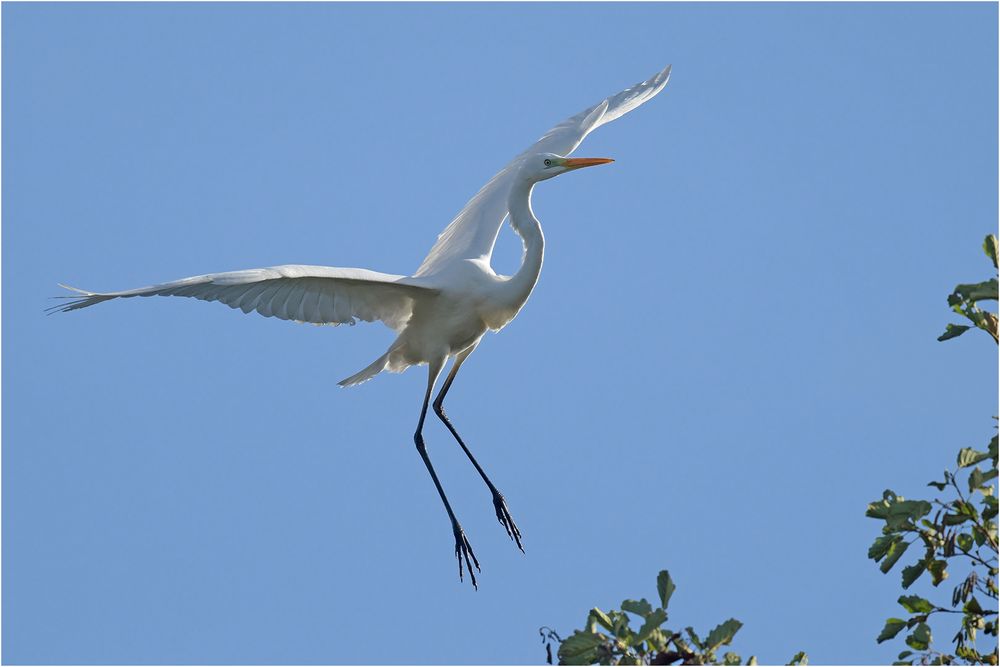 Landeanflug