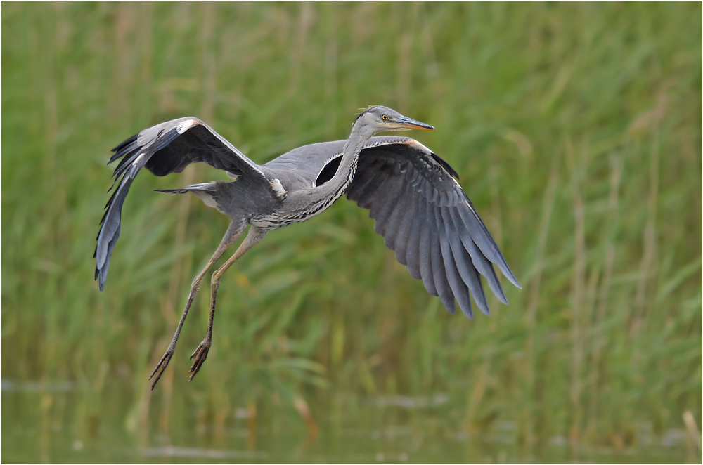 Landeanflug