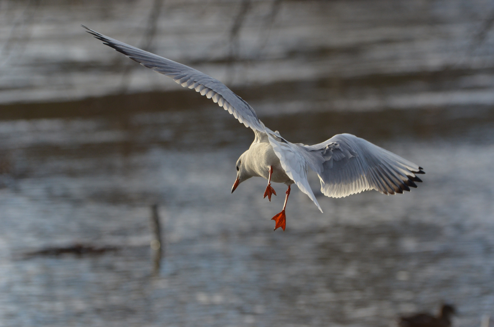 ...Landeanflug....