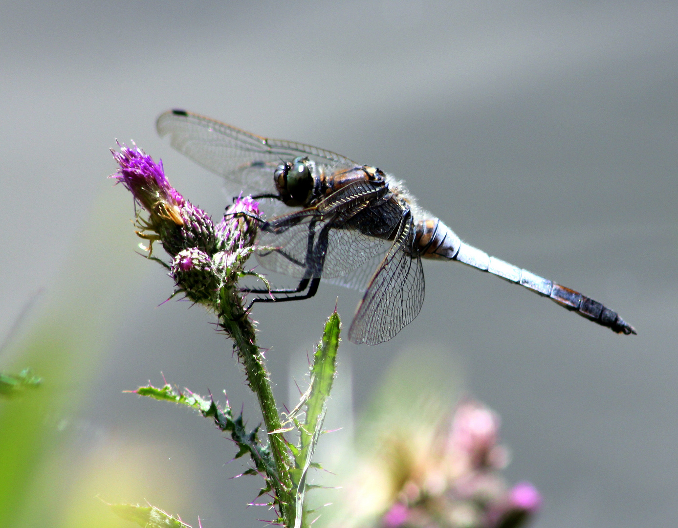 Landeanflug