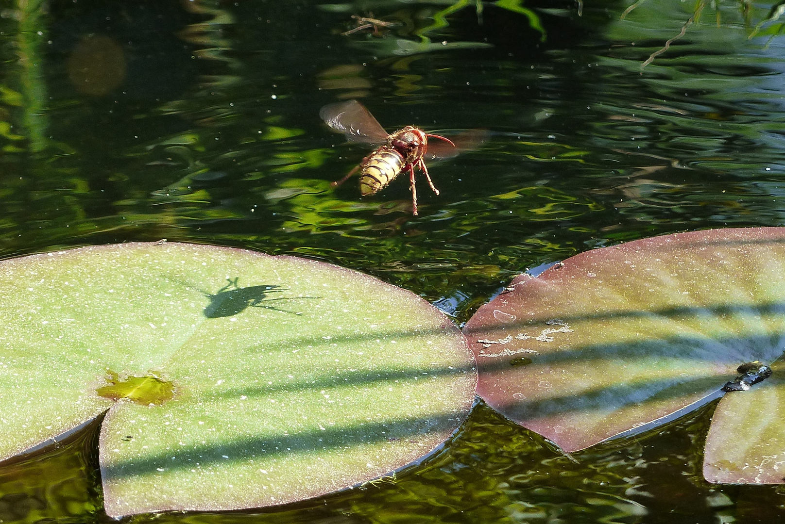 Landeanflug