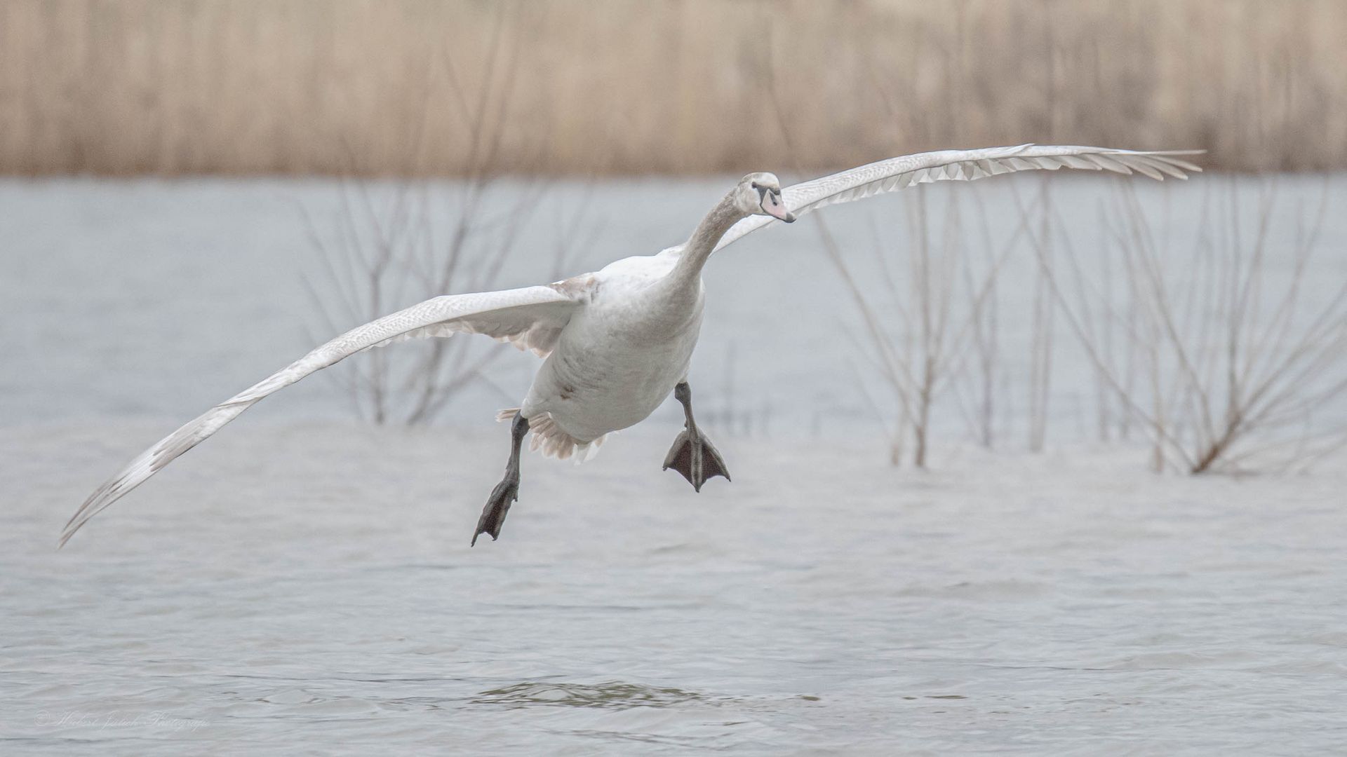 Landeanflug