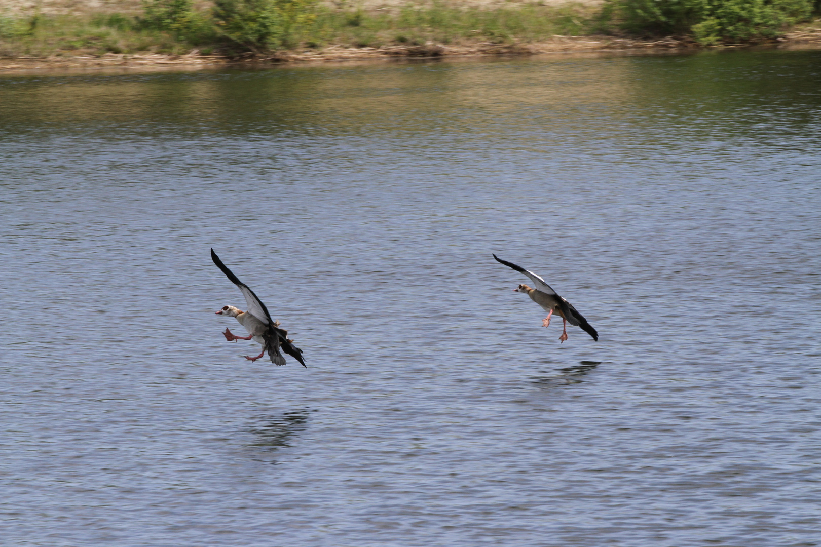 Landeanflug